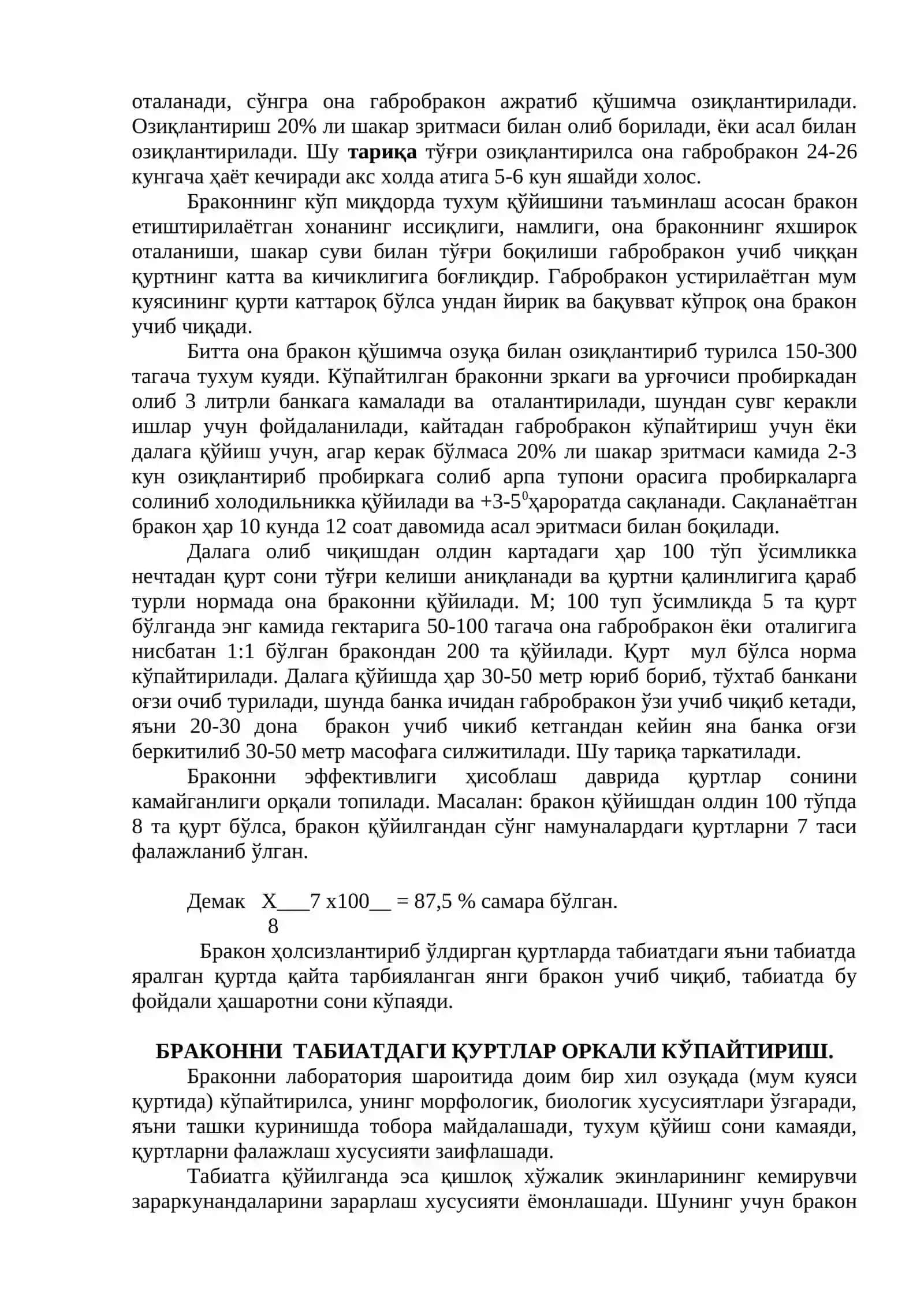 Мум куяси қуртгичи 3