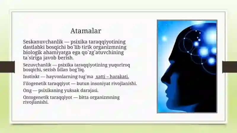 Psixikaning Filogenetik Taraqiyot 3