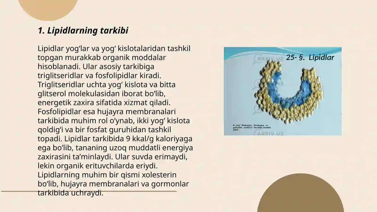 Lipidlar 3
