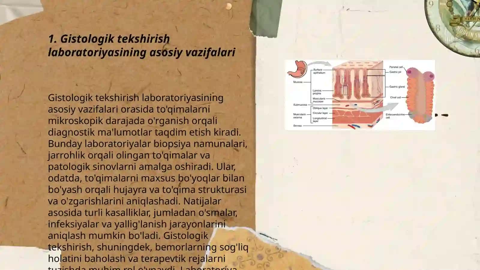 Gistologik tekshirish laboratoriyasining asosiy vazifalari 3