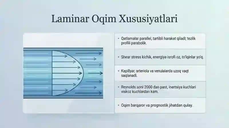 Laminar va Turbulent oqimlar. Reynolds soni 3