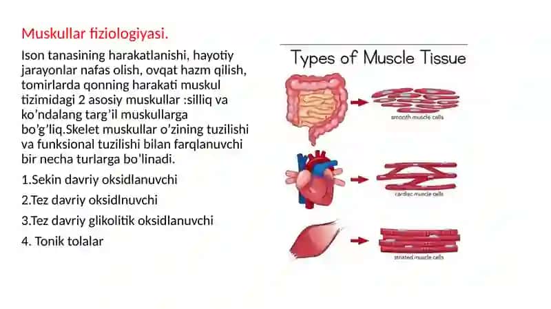 Muskul xossalarini o’rganish. Tetanus 3