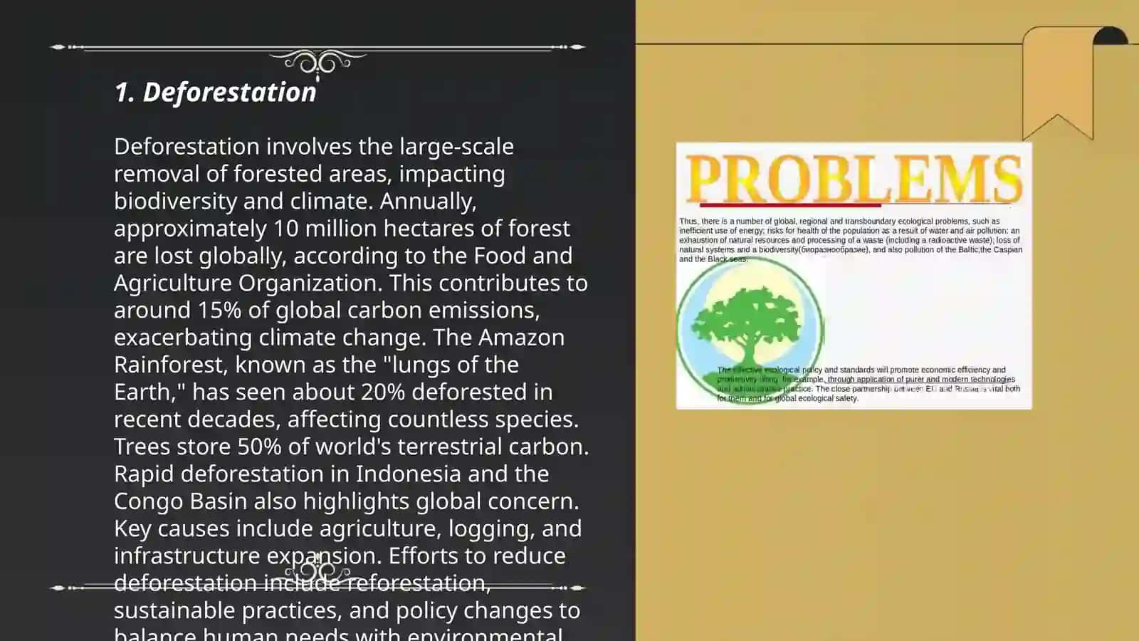 Ecologic problems 3
