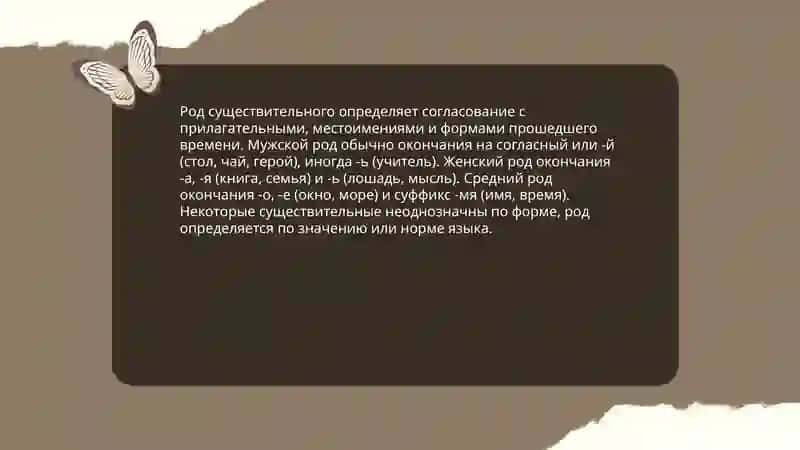 Род существительного 3