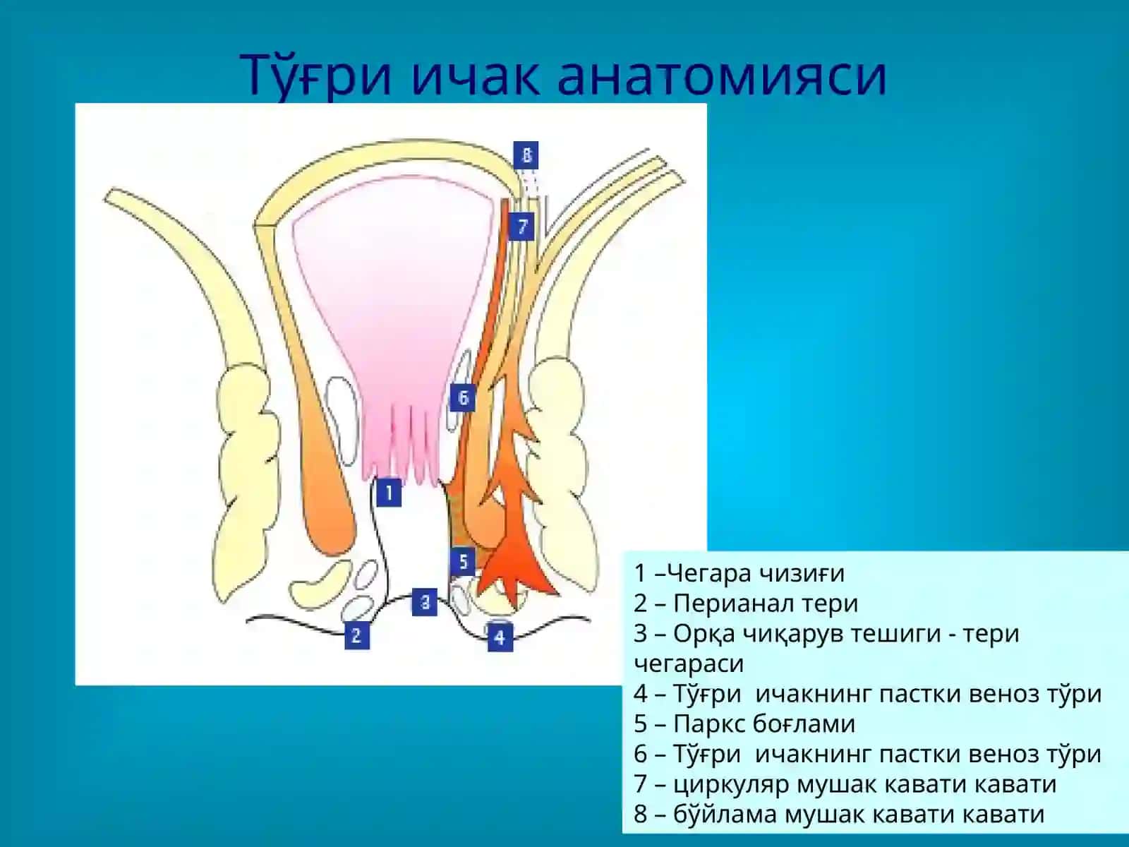 Тўғри ичак касалликлари 3
