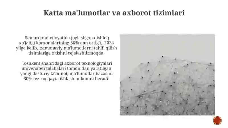Axborot Tizimlarning Tushunchasi 3