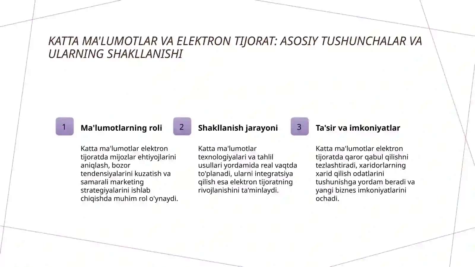 Big Data va elektron biznes 3