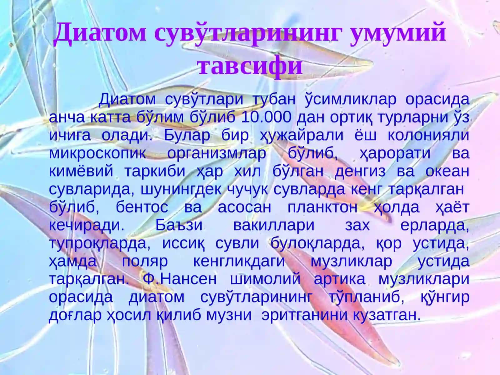 Диатом сувўтлари бўлими-Bacillariophyta 3