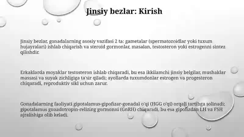 Jinsiy bezlar 3