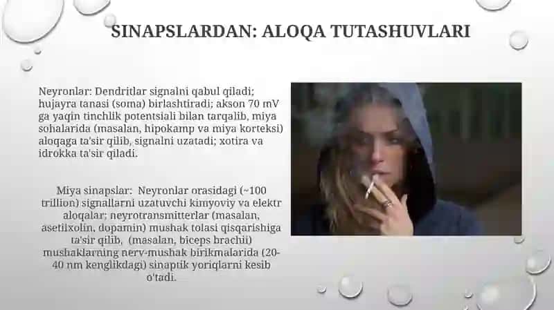 Nerv toʻqimasining tarkibi va hujayralari 3
