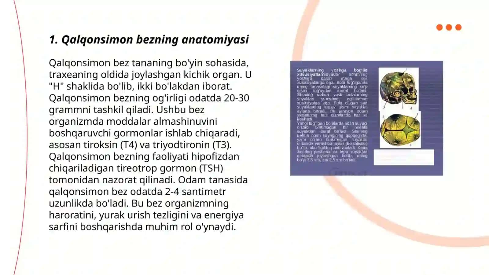 Qalqonsimon bez, anatomiyasi 3