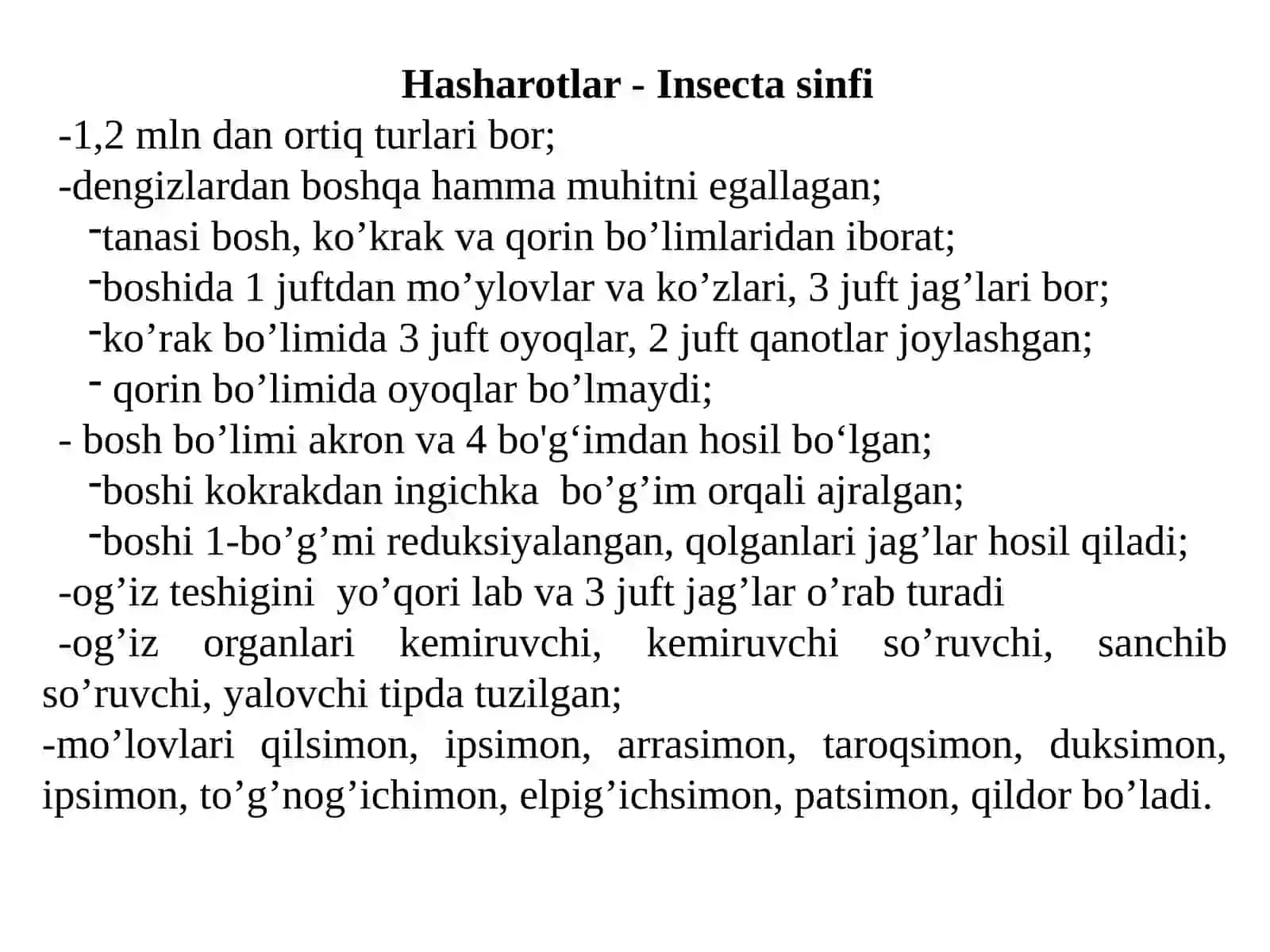 Traxeyalilar - Tracheata kenja tipi 3