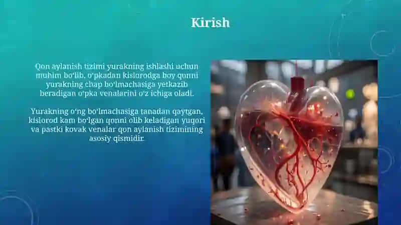 Yurakning qon tizimidagi o'rni 3