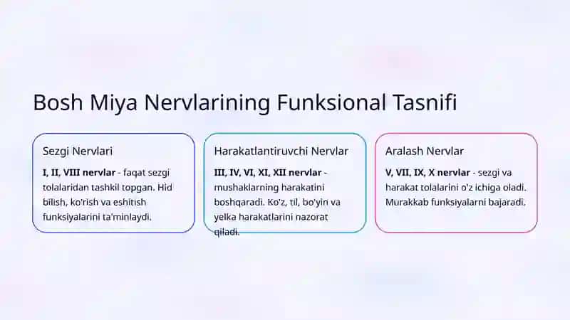 Bosh Miya Nervlarini Tekshirish Usullari 3