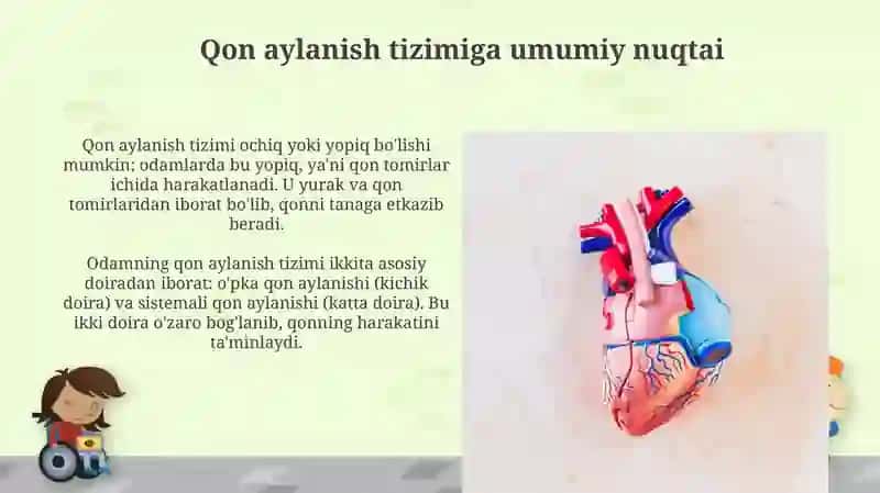 Qon aylanish tizimi 3