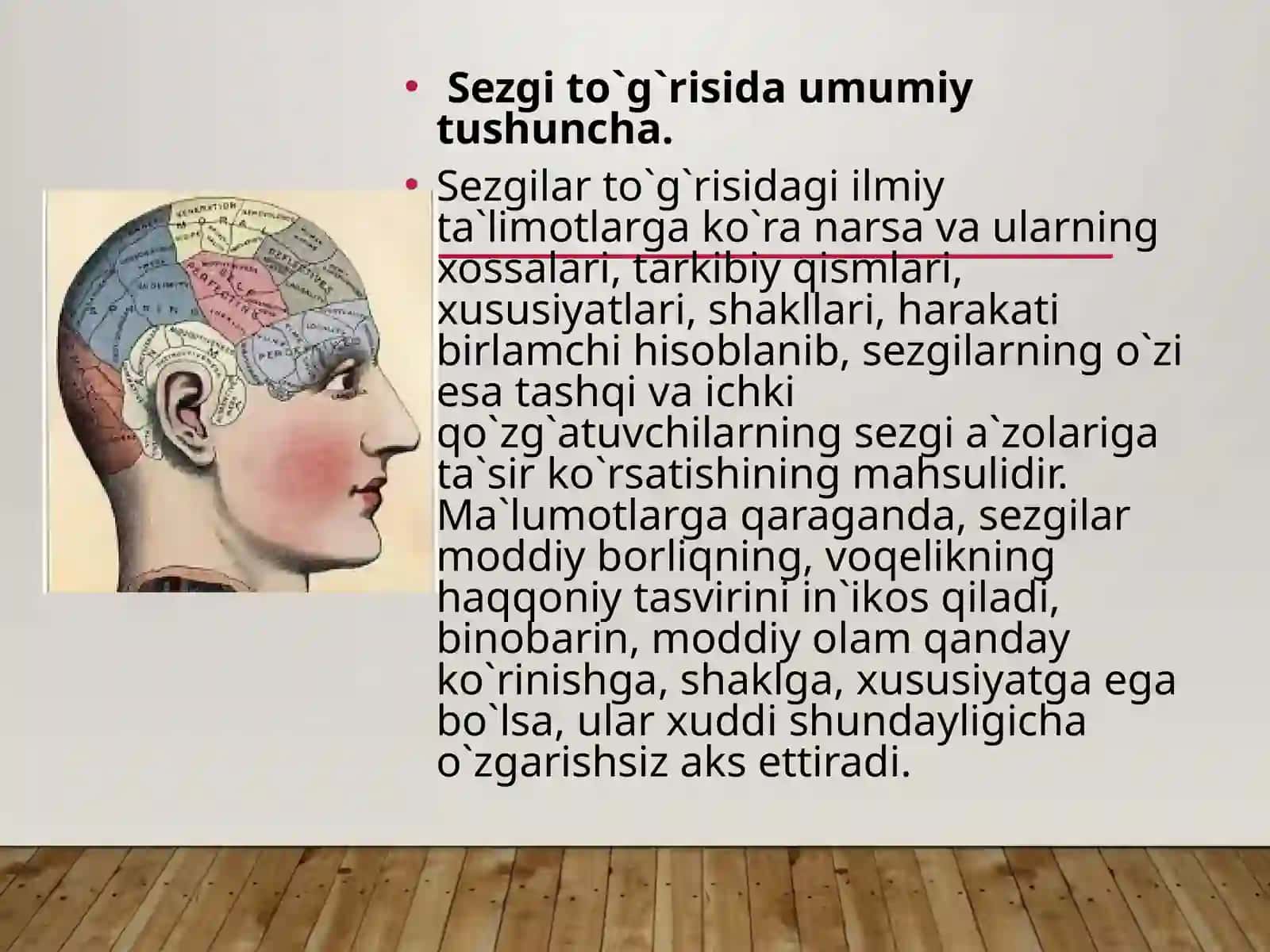Sezgi 3