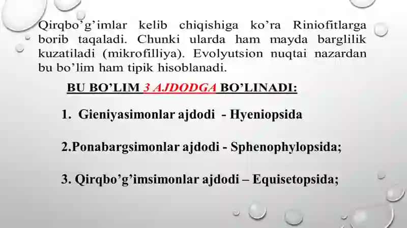 QIRQBO'G'IMTOIFA O'SIMLIKLAR EVALUTSIYASI 3
