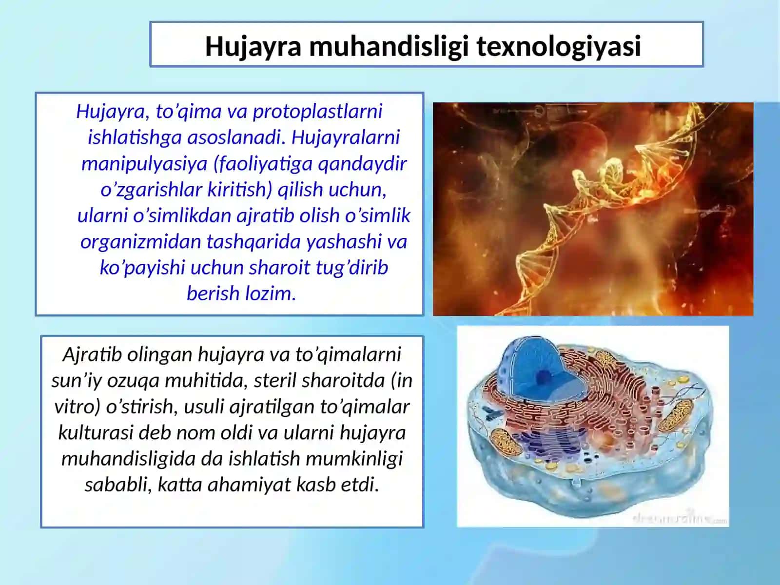 Mikroxujayrada gen va hujayra muhandisligini o'rganish 3