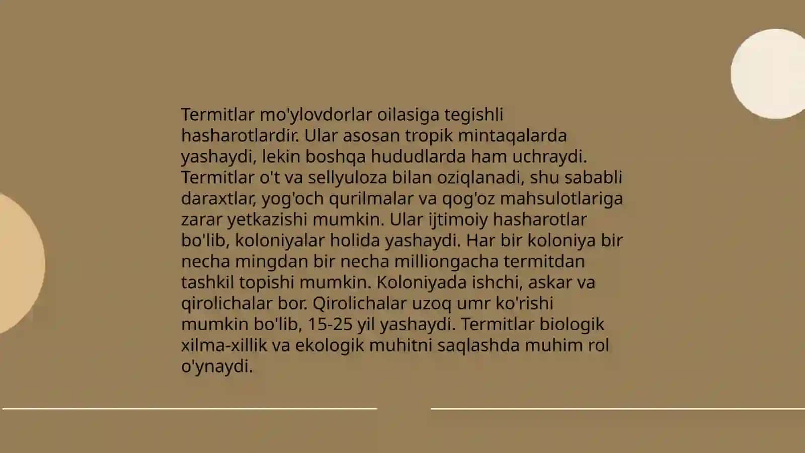 Termitlar mo'ylovdorlar 3
