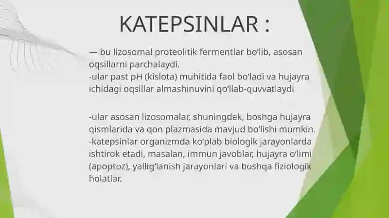 KATEPSINLARVA ULARNING KLINIK AHAMIYATI 3