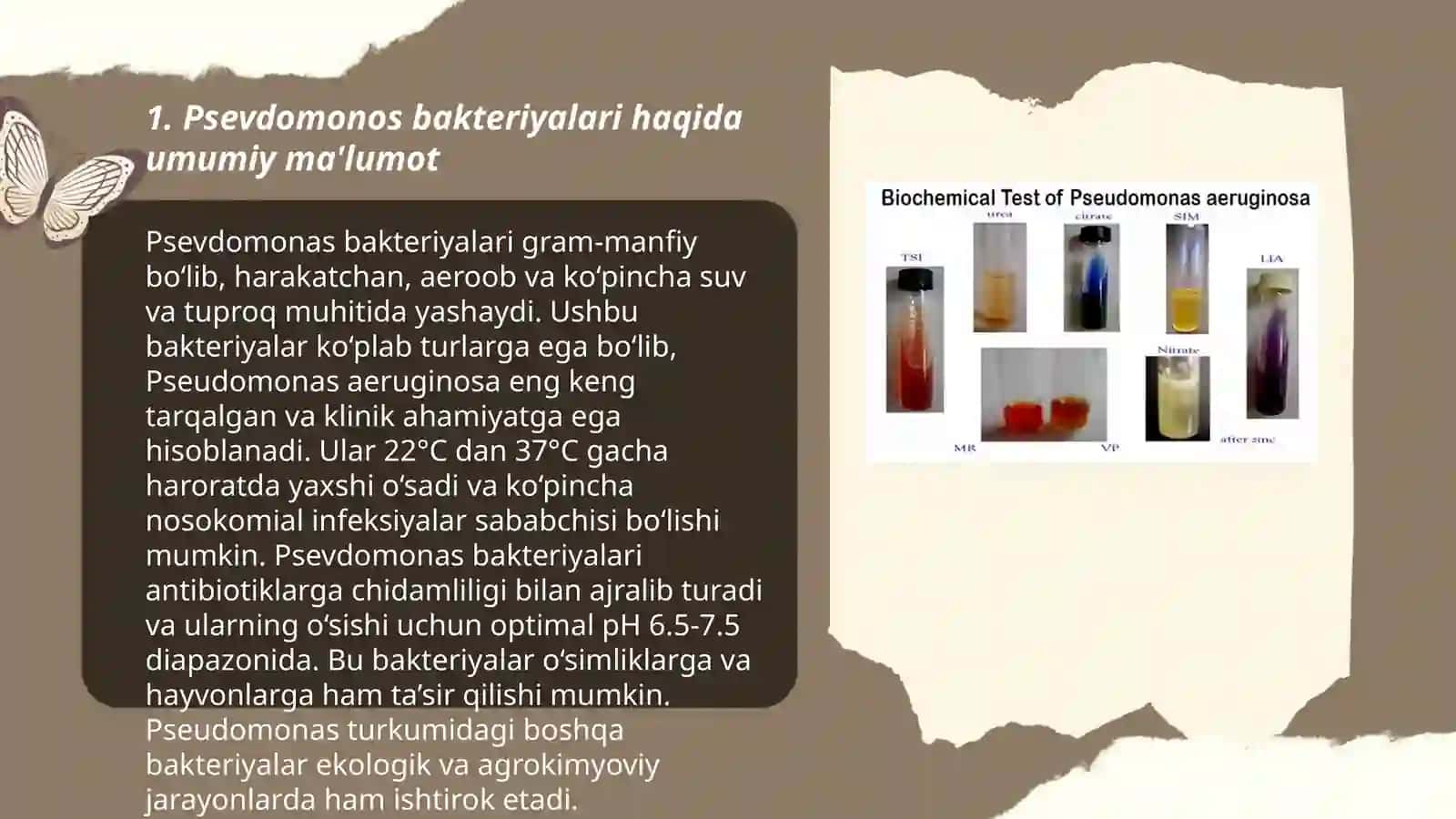 Psevdomonos pulidan toza modda sintez qilib olish 3