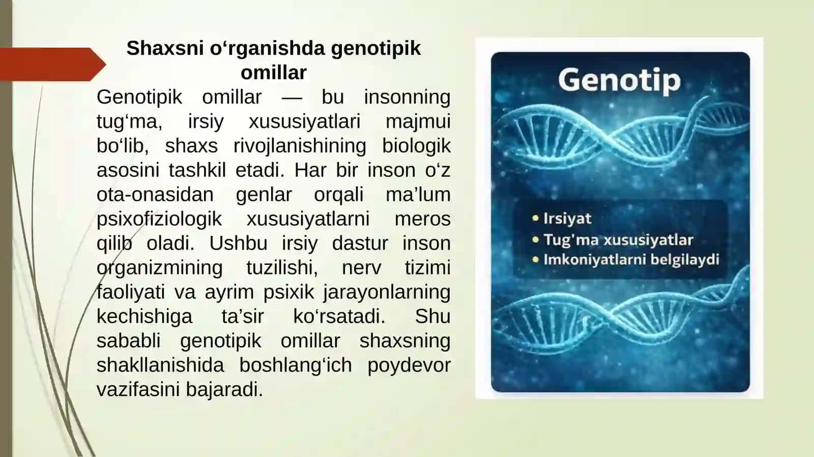 Shaxsnio‘rganishdagenotipikomillar 3