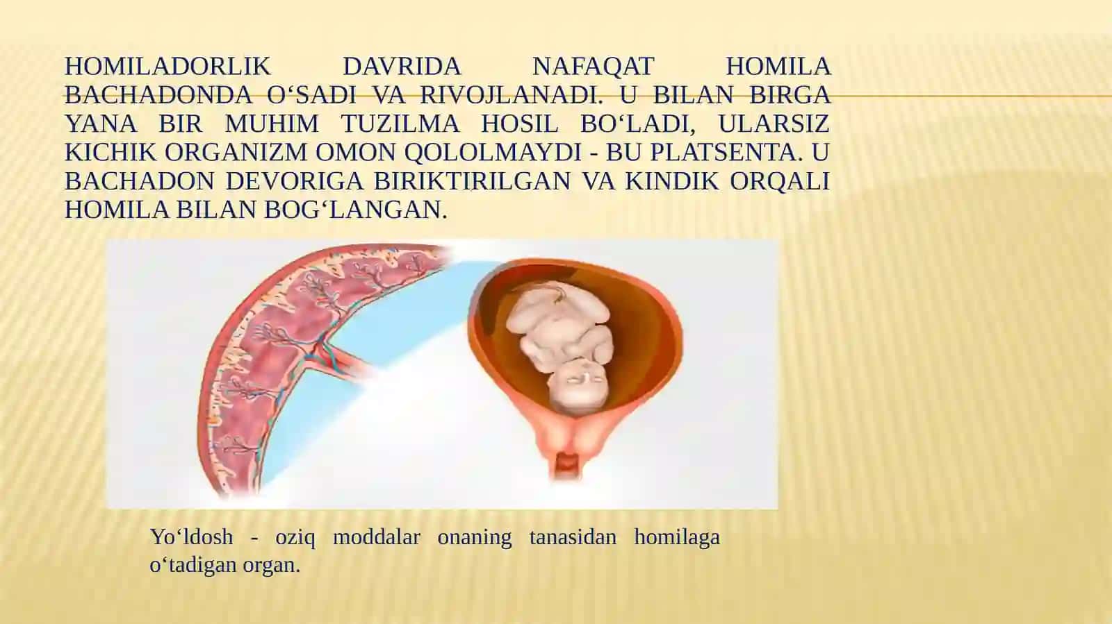 Yo‘ldoshning tuzilishi va vazifalari 3