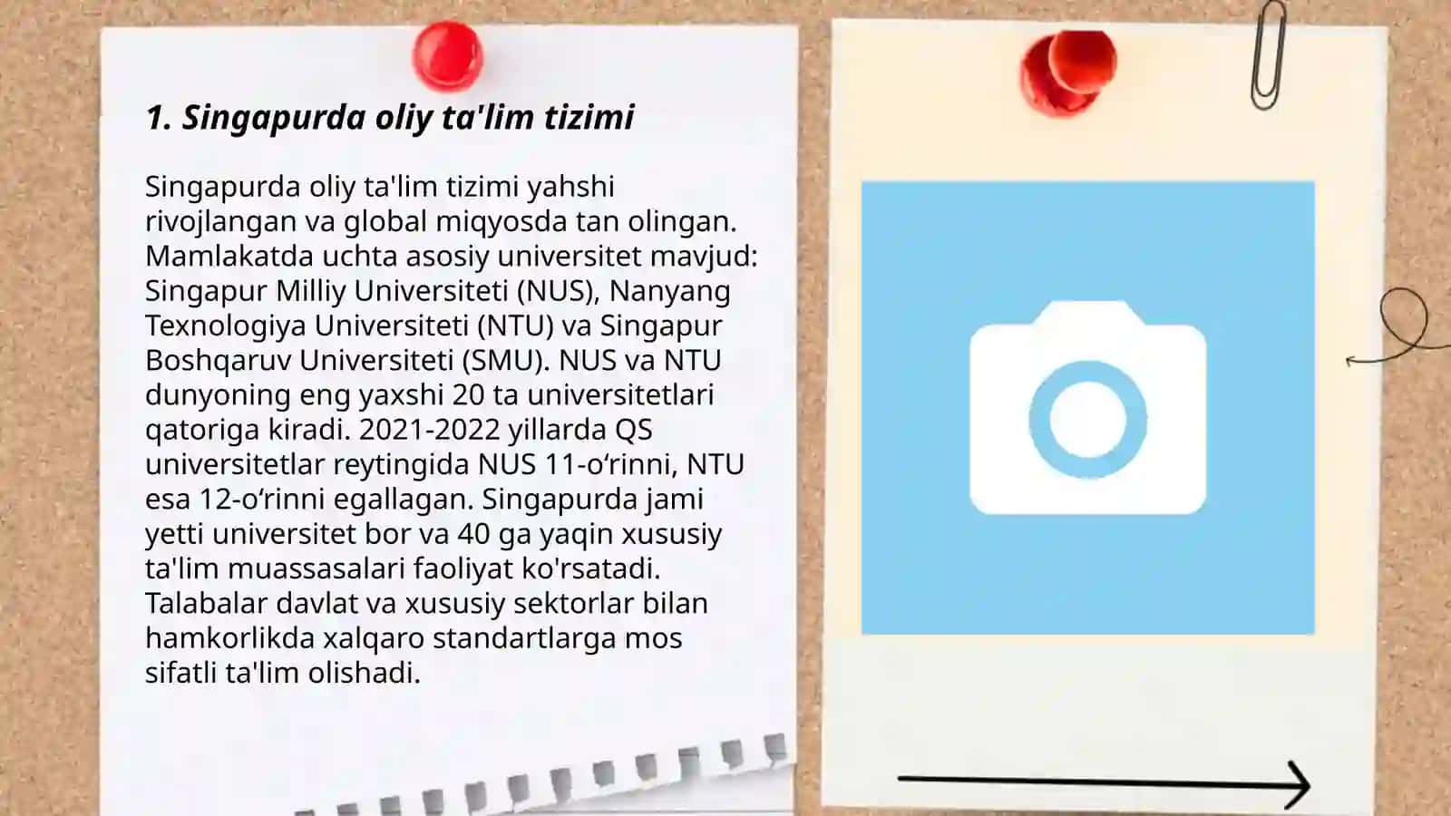 Singapurda oliy ta'lim tizimi 3