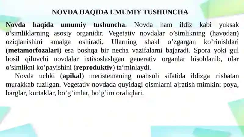 Novda 3