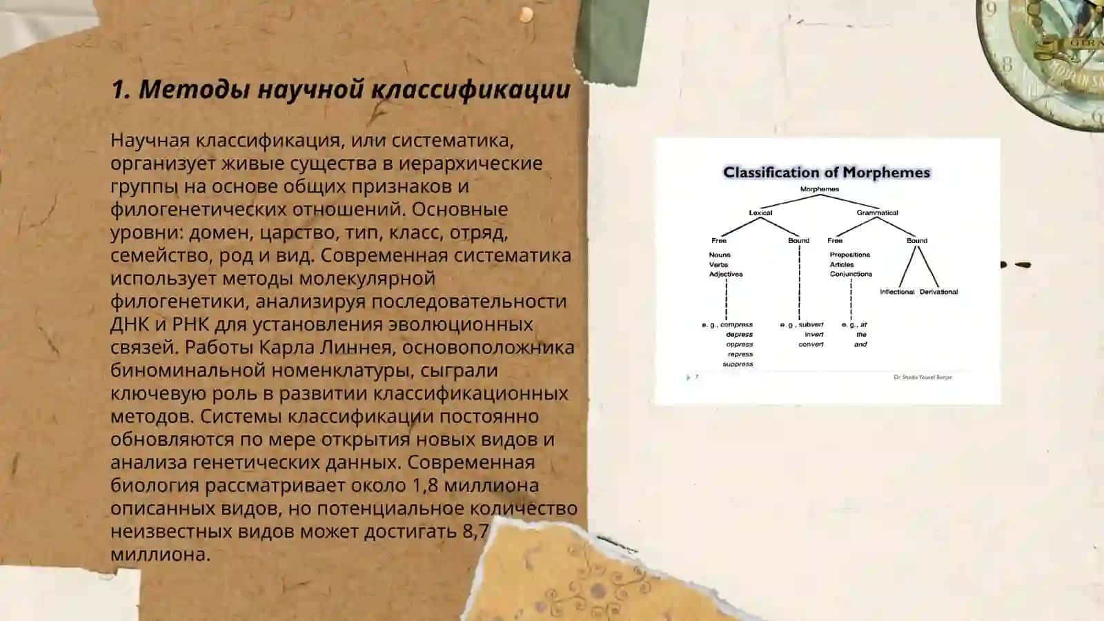 Методы научной классификации 3