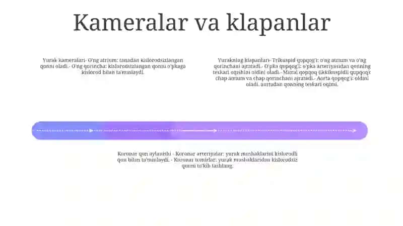 Yurak Anatomiyasi 3