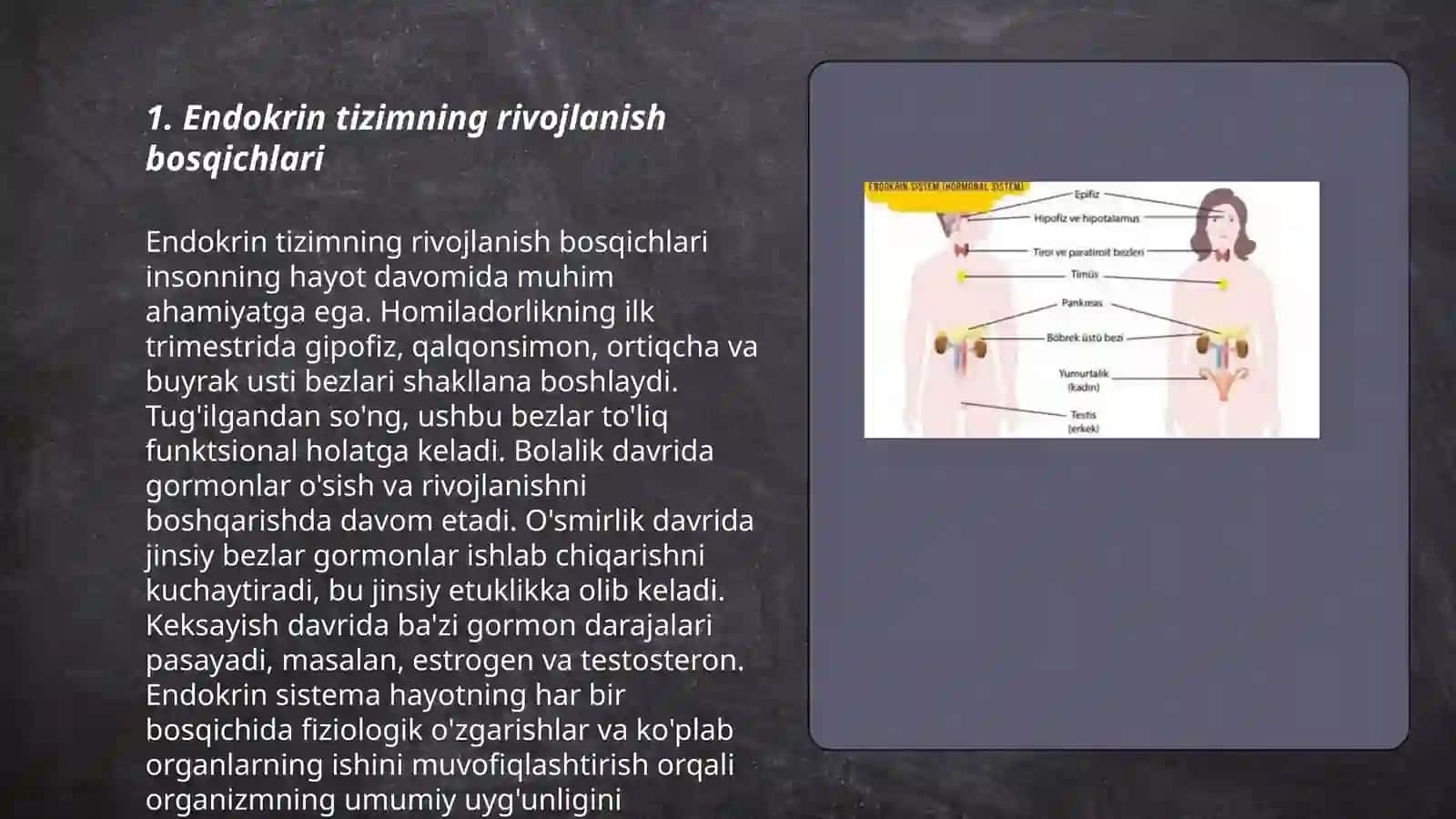 Endokrin tizimining onto-filogenezi 3