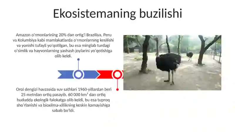Ekotizimlar ekologiyasi 3