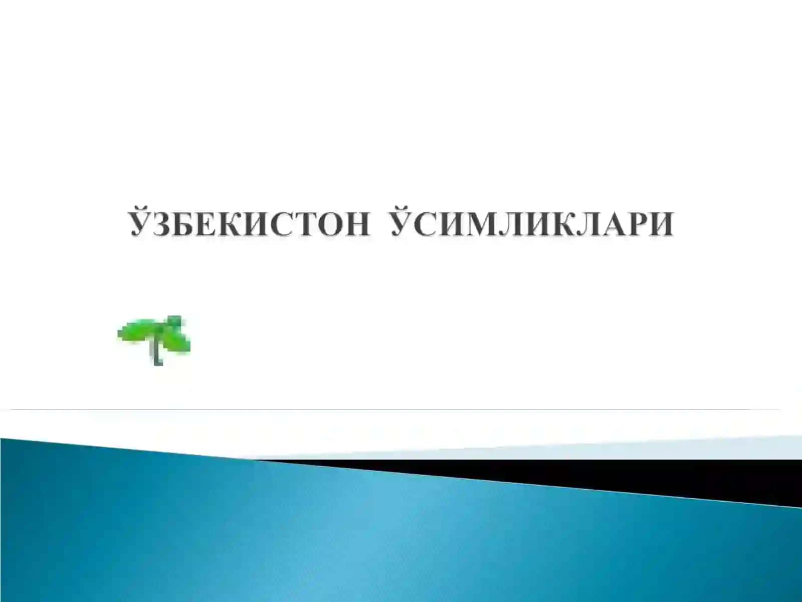 O'simliklar geografiyasi 3