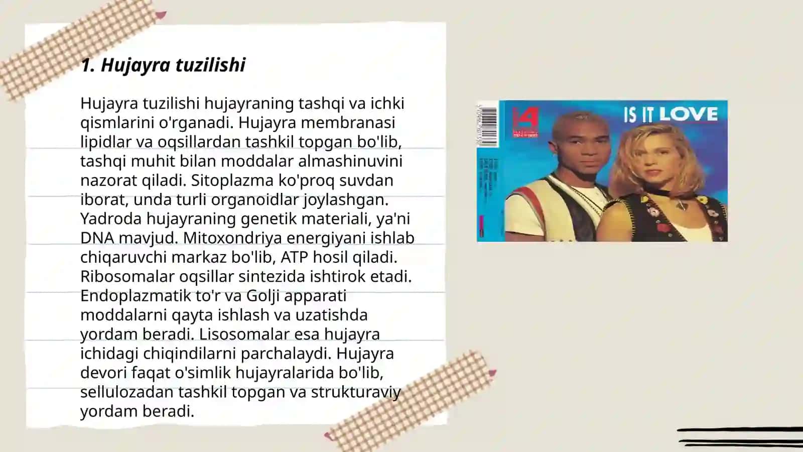 Hujayra - tiriklikning asosi 3