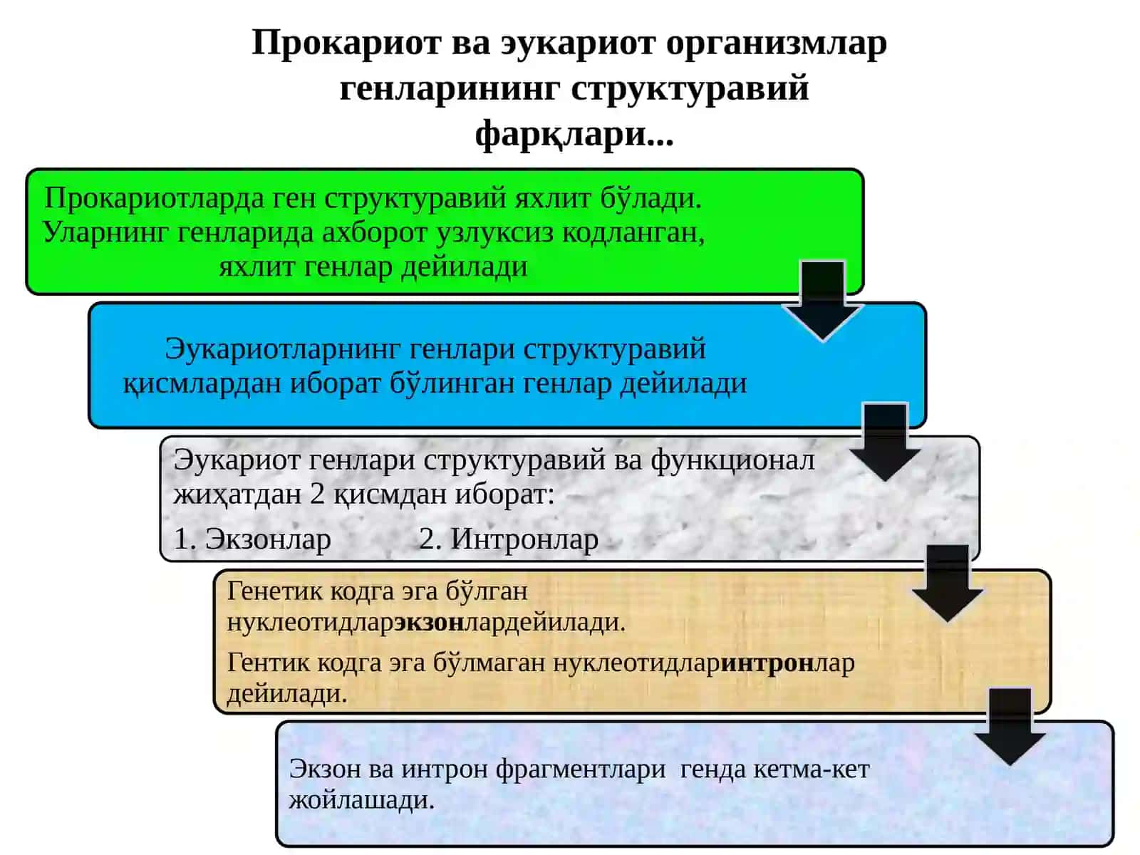 ТИББИЙ БИОЛОГИЯ ВА ГЕНЕТИКА 3