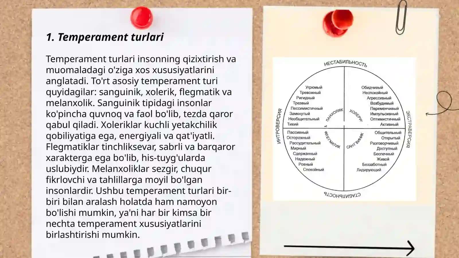Temperament turlari 3