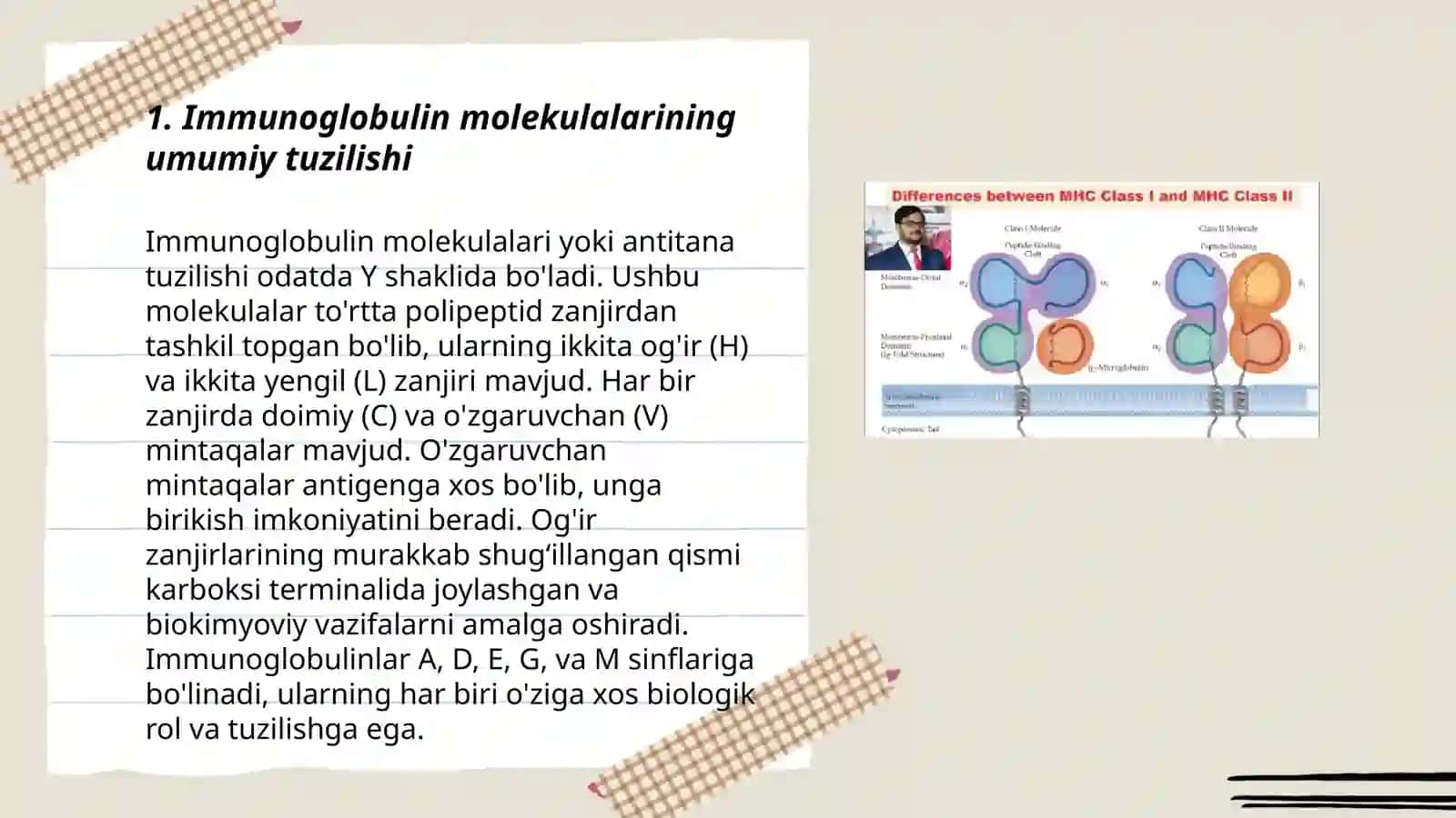 Immunoglobulin molekulasining tuzilishi 3
