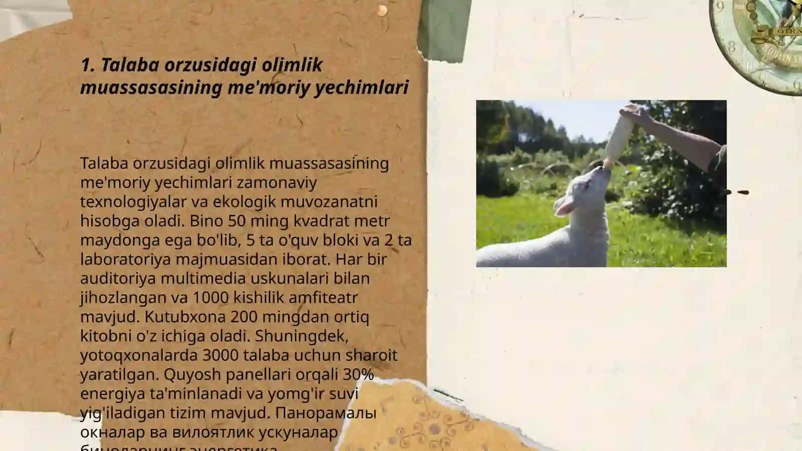Talaba orzusidagi muassasa 3