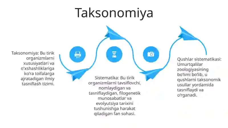 Qushlar Sistematikasi 3