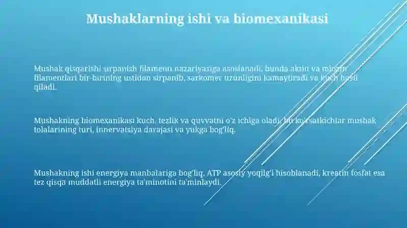 Mushaklarning ishi va biomexanikasi 3