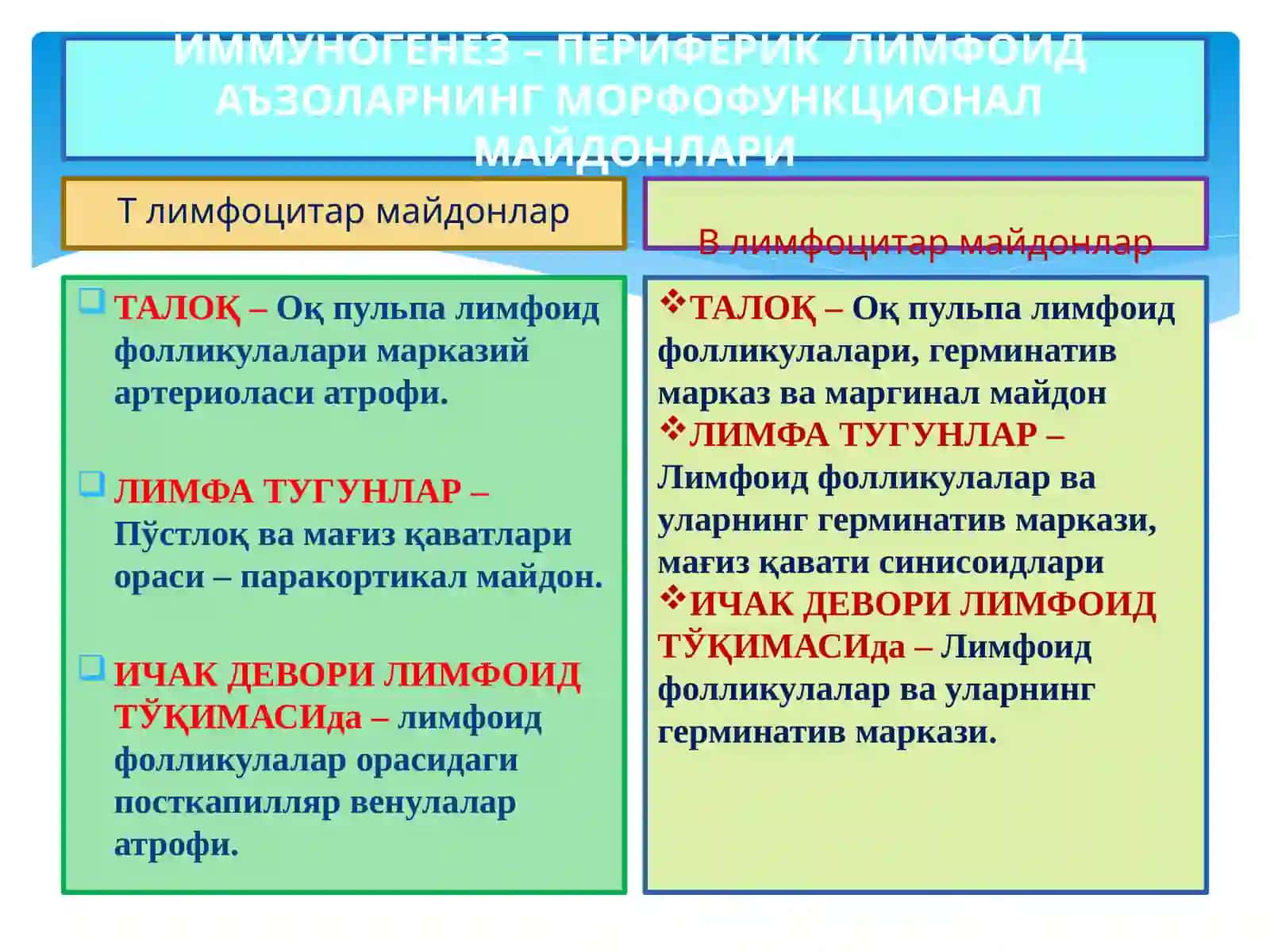 ИММУНОГЕНЕЗНИНГ СХЕМАТИК ТАСВИРИ 3