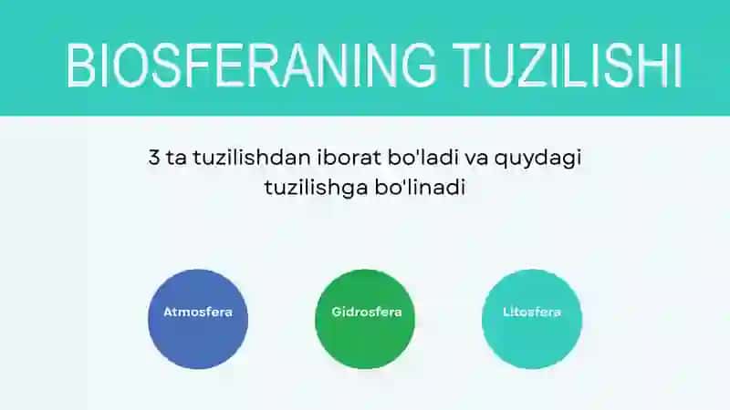 BIOSFERA VA UNING MUAMMOLARI 3