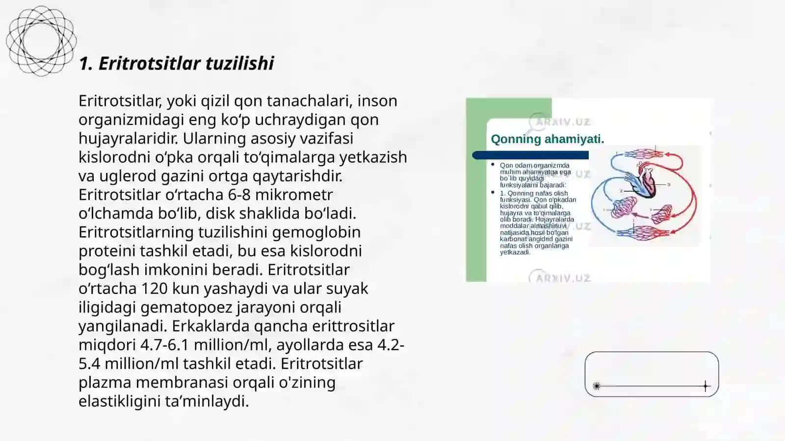 Eritrotsitlar, turlari funksiyalari 3