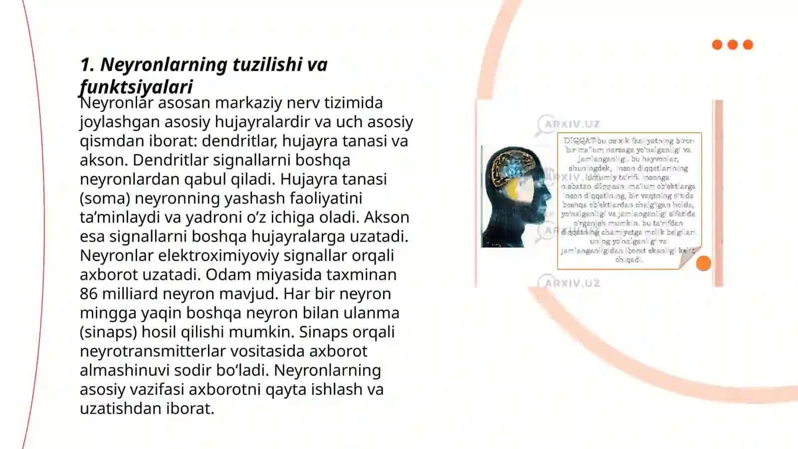 Neyronlarning tuzilishi va funktsiyalari 3