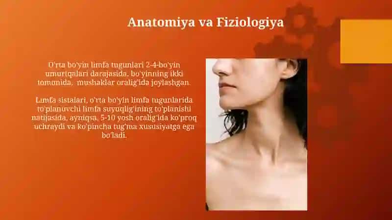 Bo'yinning o'rta yon oqmalari va kistalari 3