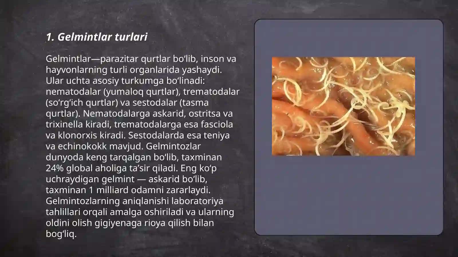 Gelmintlar Odamlar Parazitlari 3