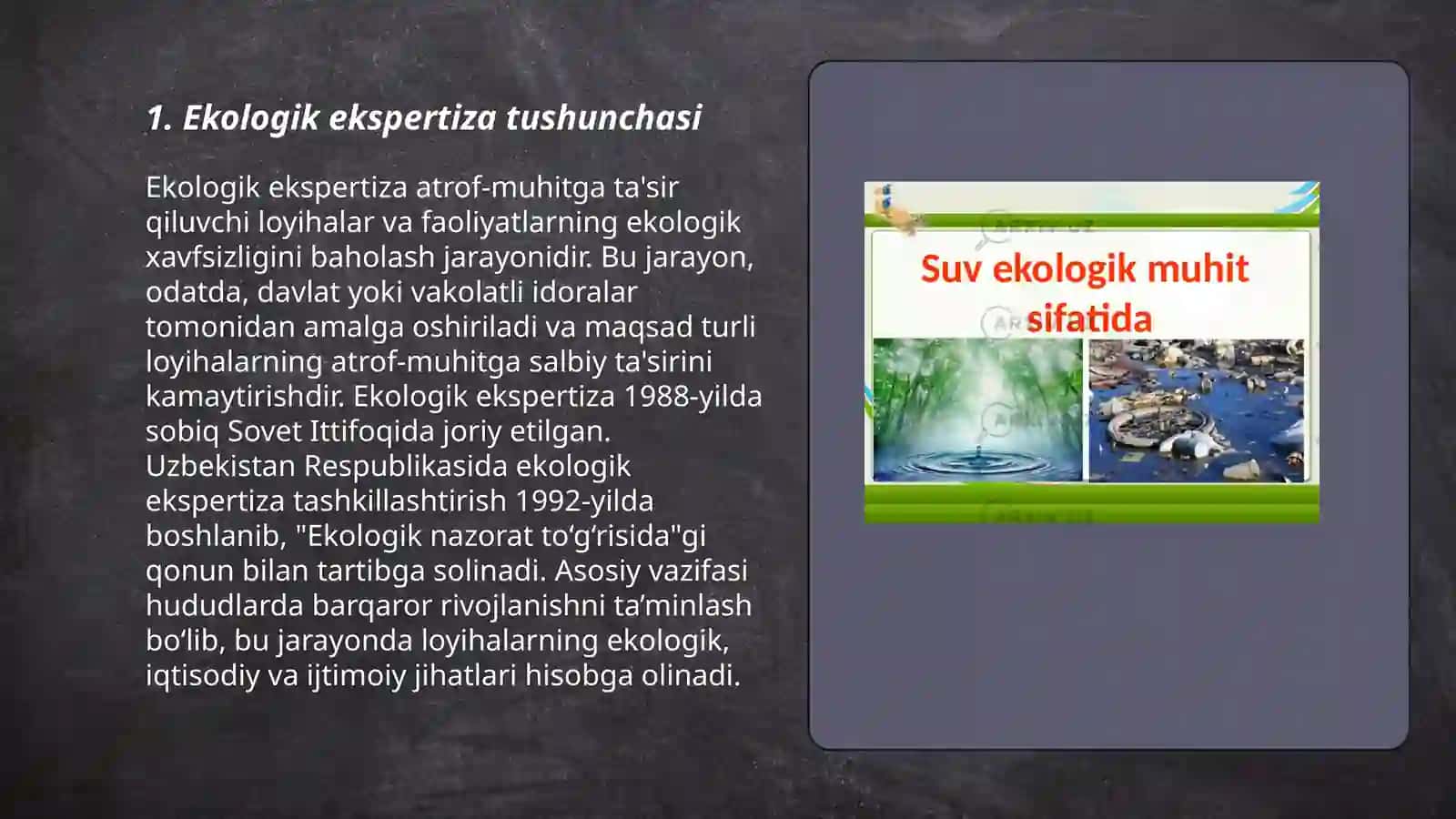 Ekologik Ekspertiza 3