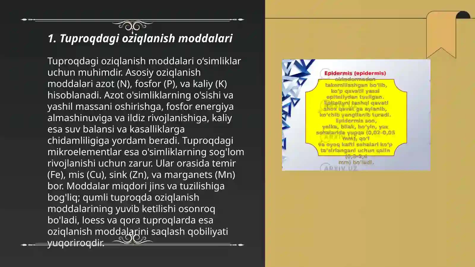 Tuproq gigiyenasi 3