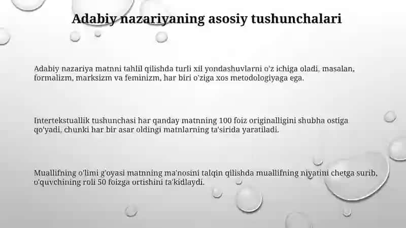 Adabiyotshunoslik nazariyasi 3
